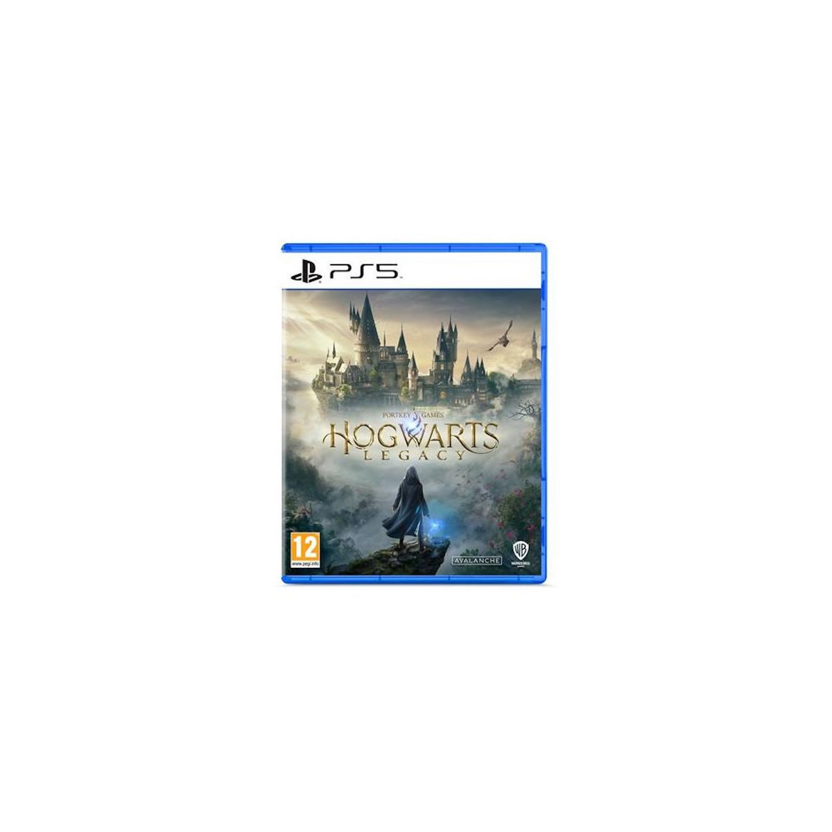Warner Bros Hogwarts Legacy L Héritage de Poudlard PS5