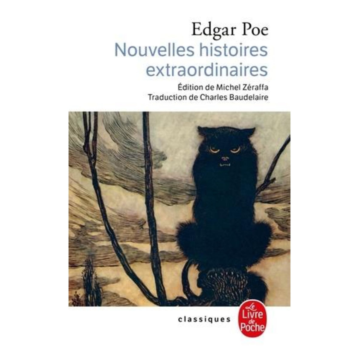 NOUVELLES HISTOIRES EXTRAORDINAIRES, Poe Edgar Allan