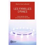 LES FAMILLES D'AMES. SELON LES ENSEIGNEMENTS DES ANGES XEDAH ET DE L'ARCHANGE MICHAEL, Labonté Marie-Lise