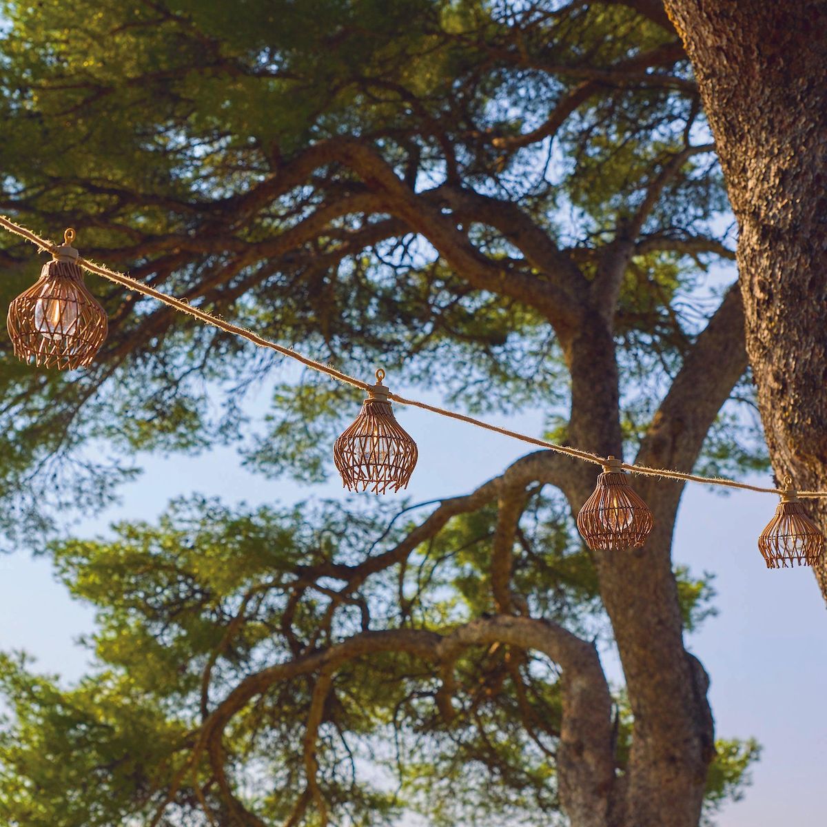 Lumisky Guirlande d'extérieur ROTILIA Beige Polyrotin 8M