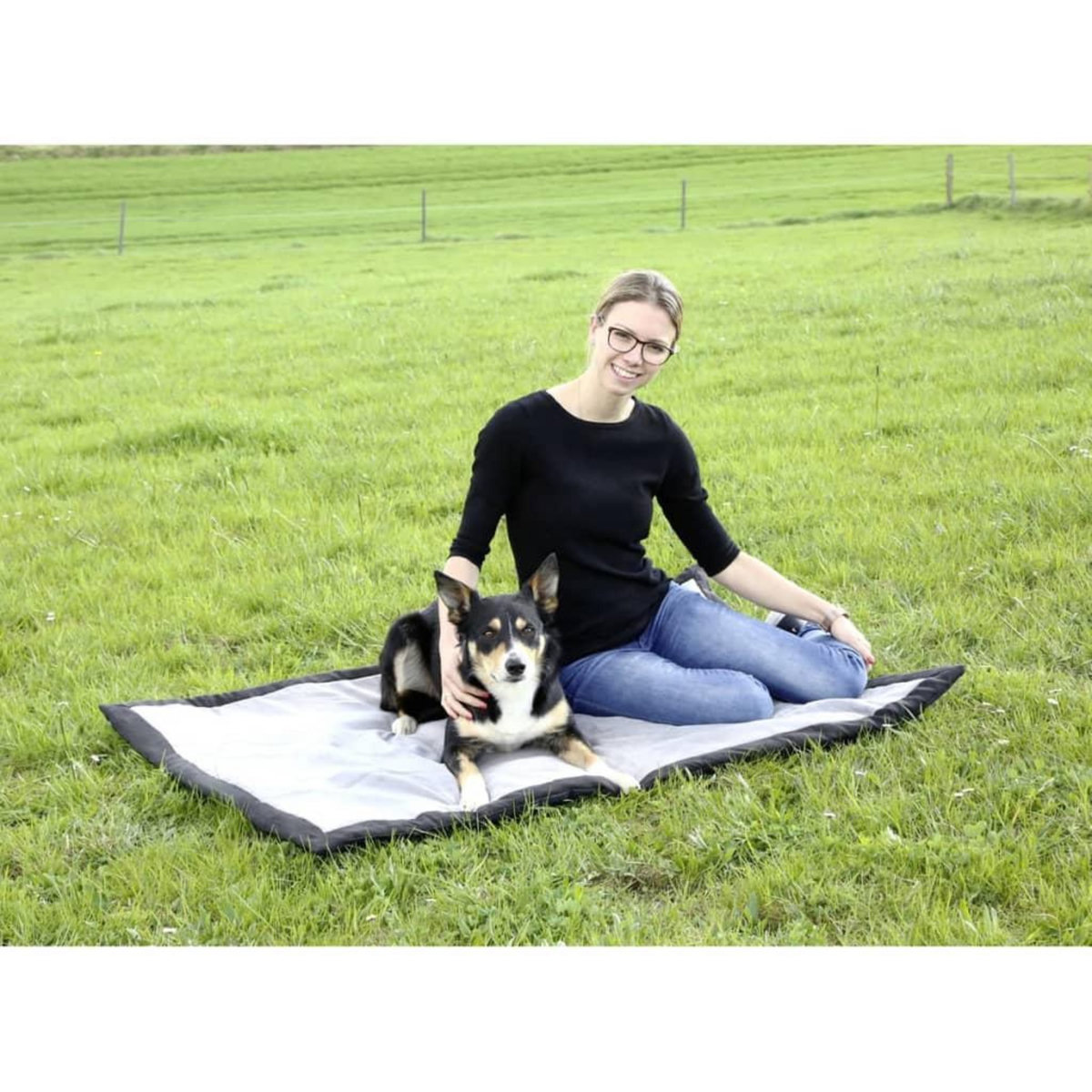 KERBL Kerbl Couverture de voyage pour chiens 140 x 100 cm Gris et Noir 81265