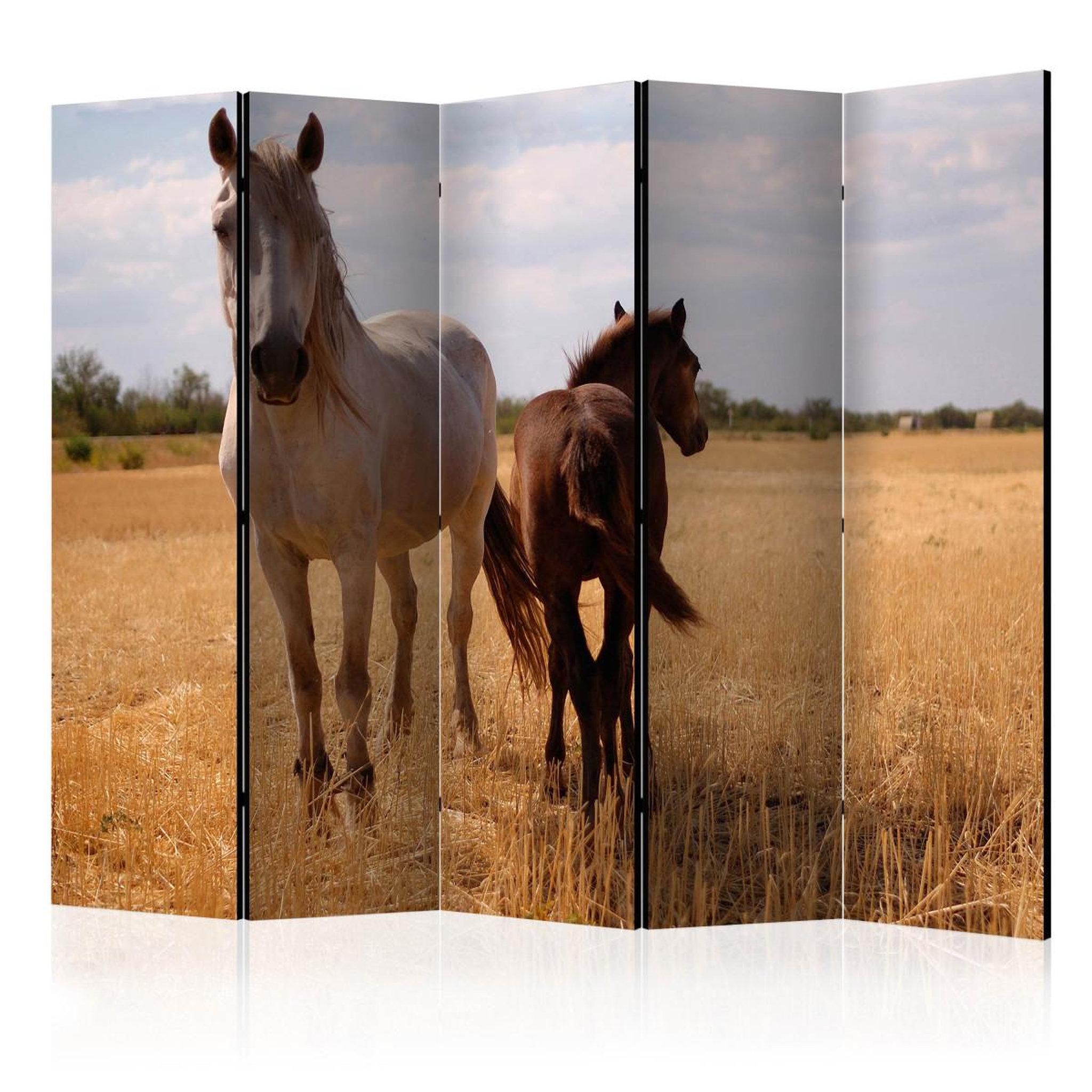 Paris Prix Paravent 5 volets  horse & foal  172x225cm