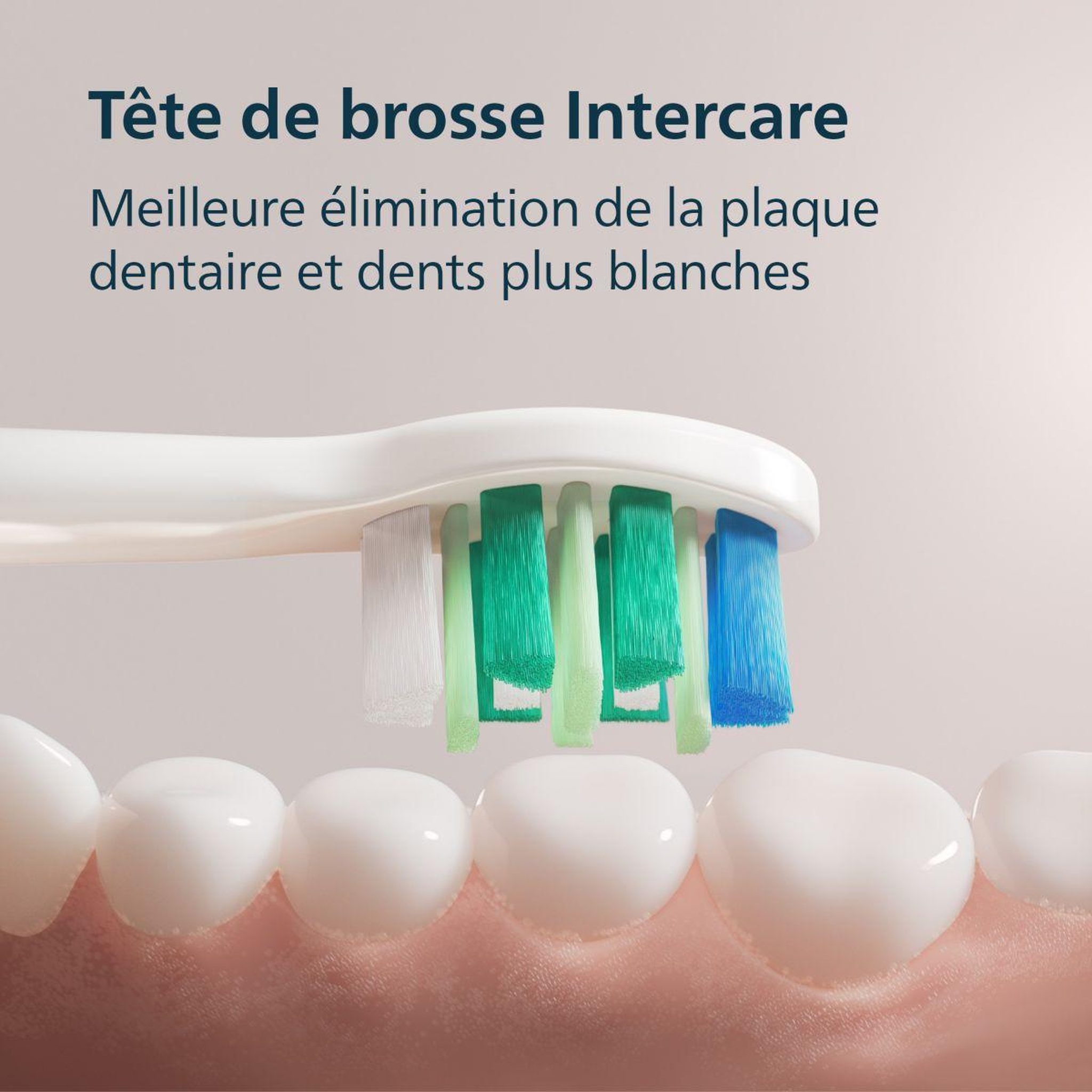 Voir la diapositive 5 : Philips Brosse à dents électrique hx4022/01 serie 2100 blanche