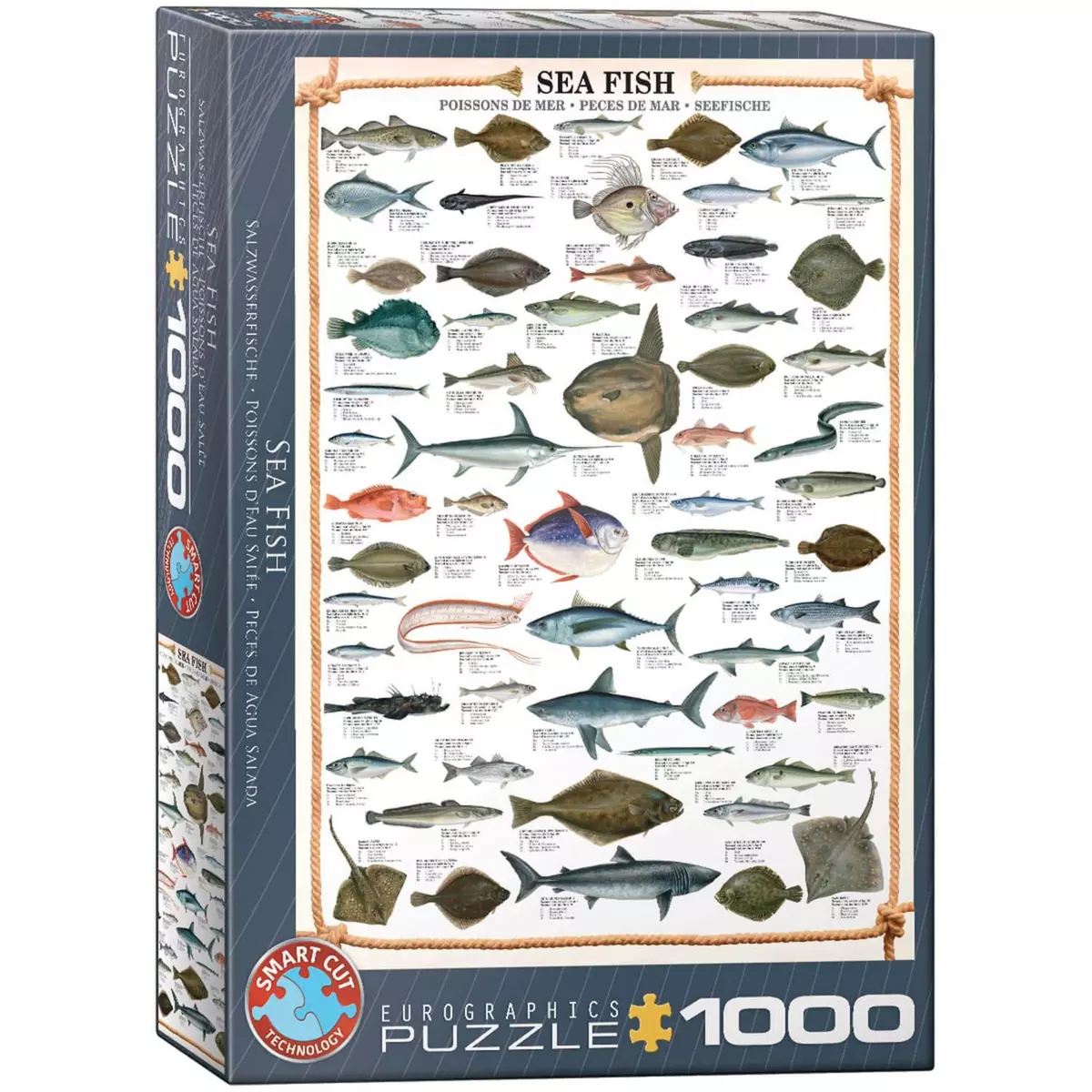 Eurographics Puzzle 1000 pièces : Poissons de mer