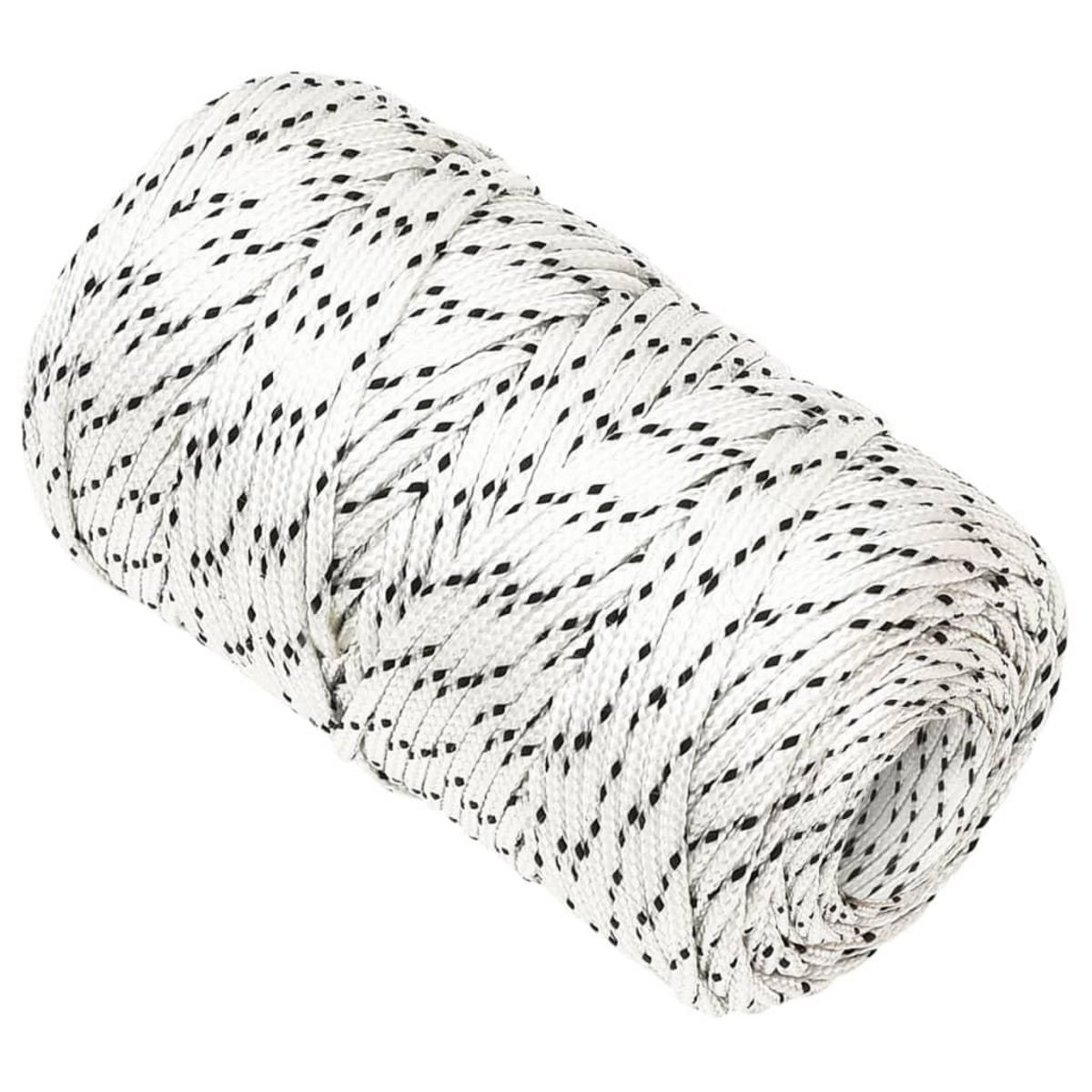 VIDAXL Corde de bateau tresse Blanc 2 mmx250 m Polyester