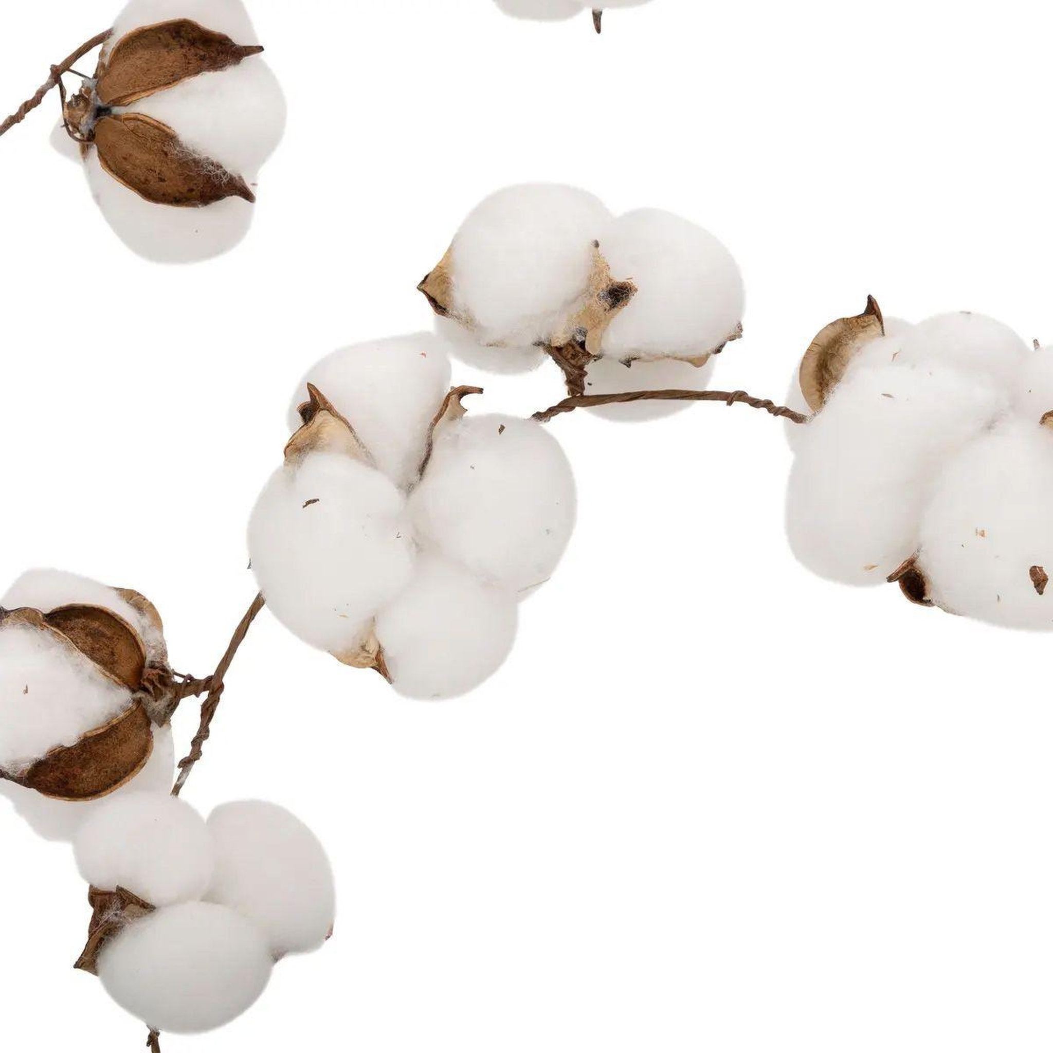 Voir la diapositive 2 : ATMOSPHERA Guirlande de noël  fleurs de coton  200cm blanc