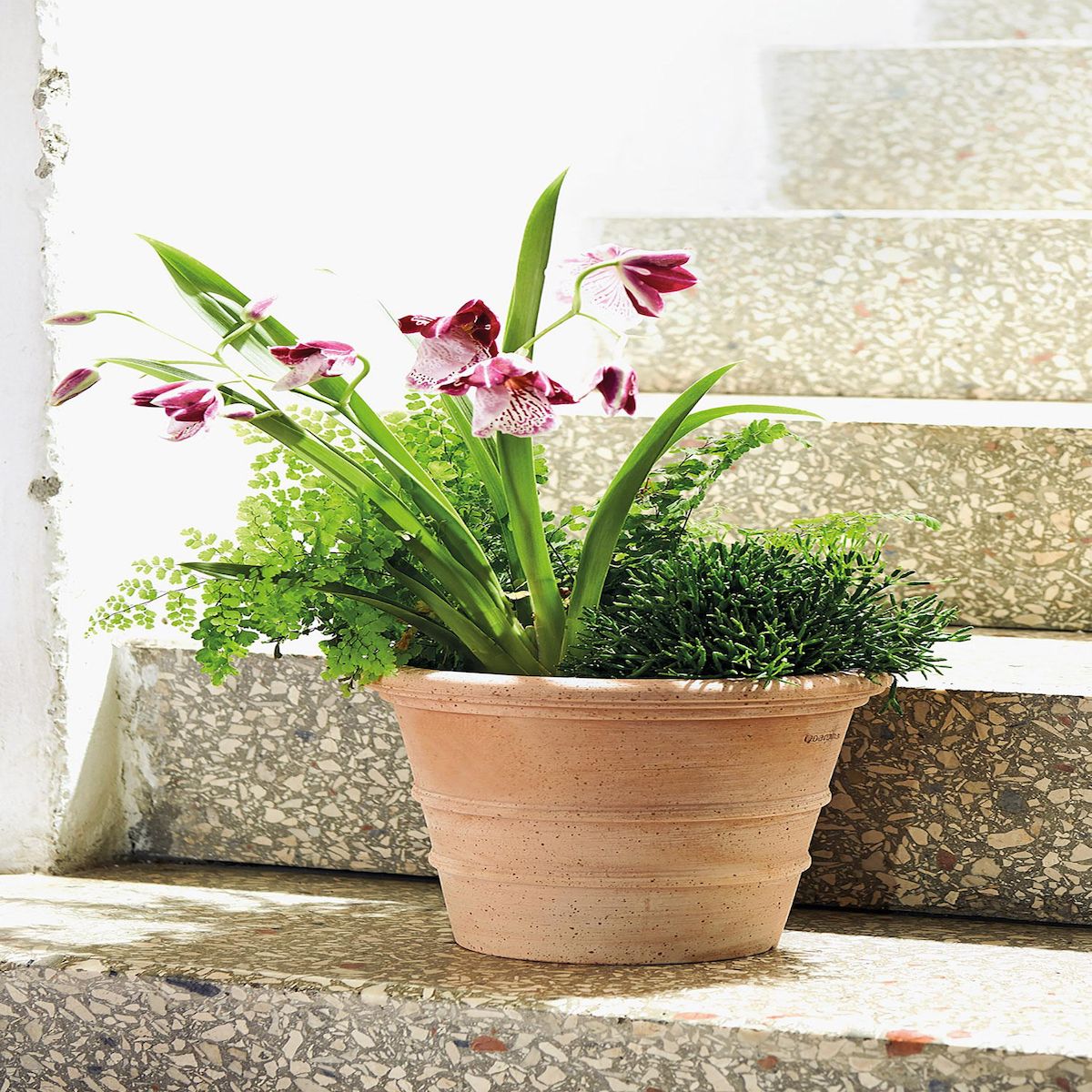 Pot en terre cuite - Siena Toscana - 23cm