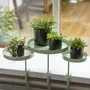 ESSCHERT DESIGN Esschert Design Plateau pour plantes avec pince rond vert S