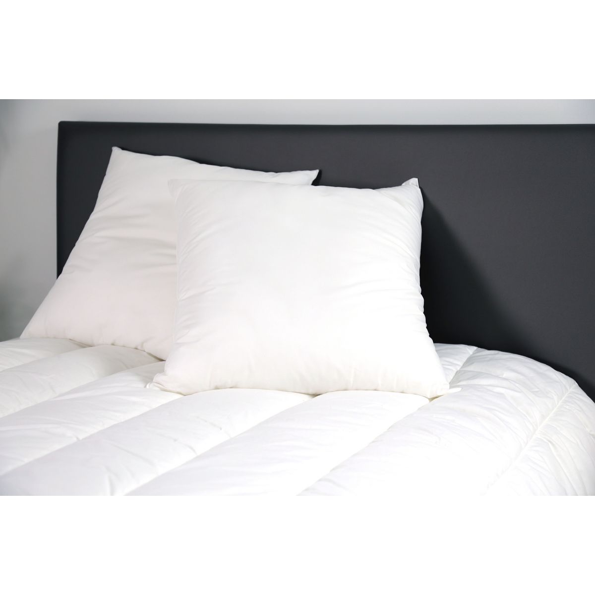 DODO Lot de 2 oreillers Doux et moelleux 