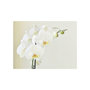 Voir la diapositive 2 : Paris Prix Papier Peint  Orchidée Blanche