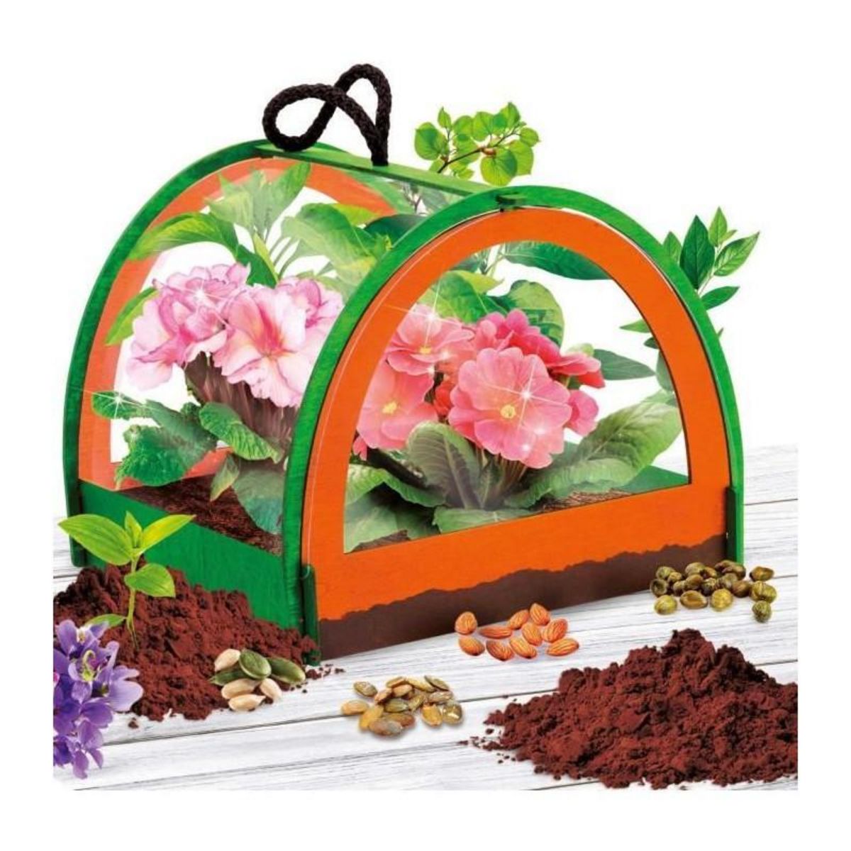 LISCIANI GIOCHI Découverte de la botanique - Kit Scientifique - I'M A GENIUS POCKET - Serre miniature, Expériences botaniques