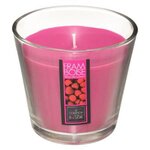 COMPTOIR DE LA BOUGIE Bougie Parfumée en Verre  Nina  190g Framboise