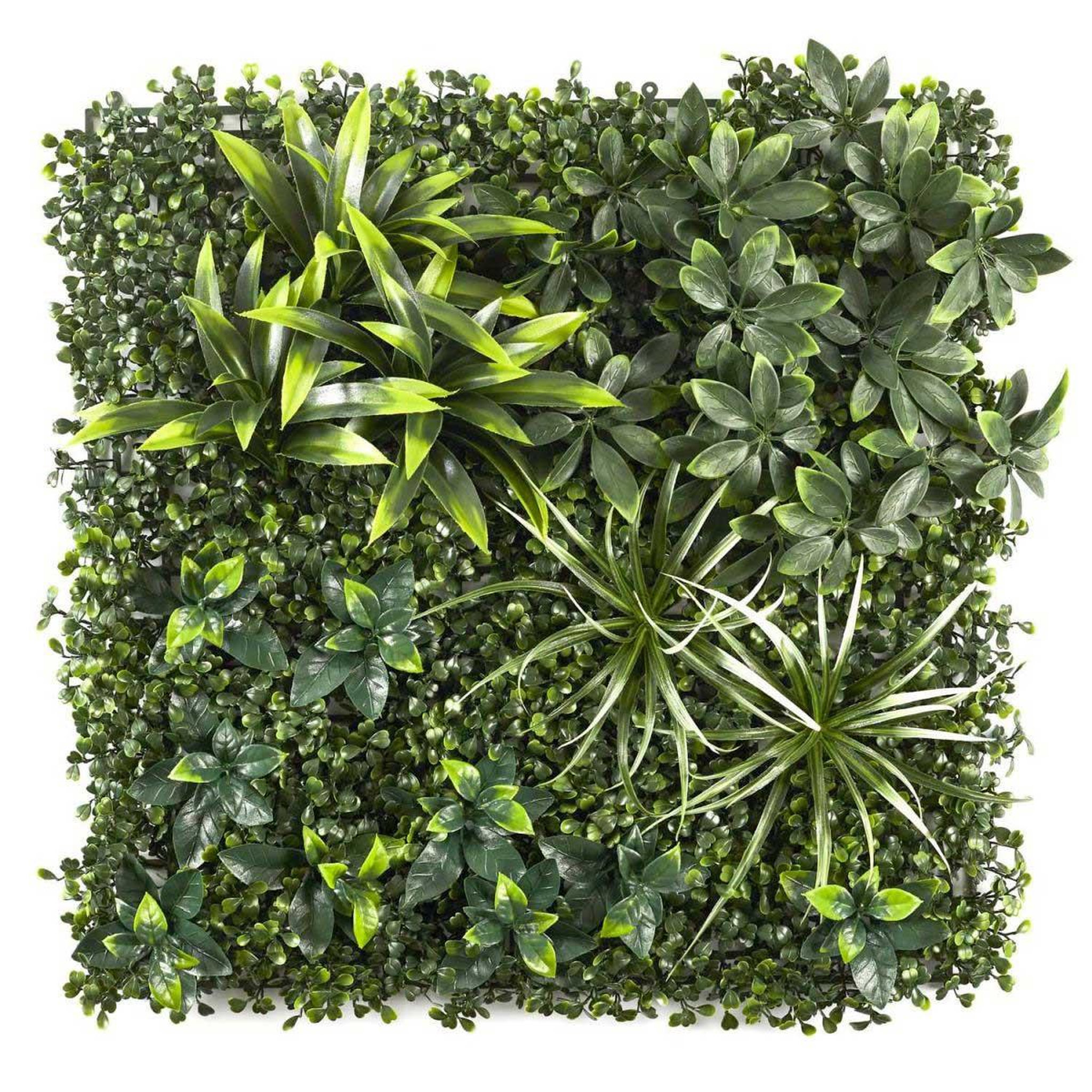 The Home Deco Factory Mur végétal artificiel  panache  50x50cm vert
