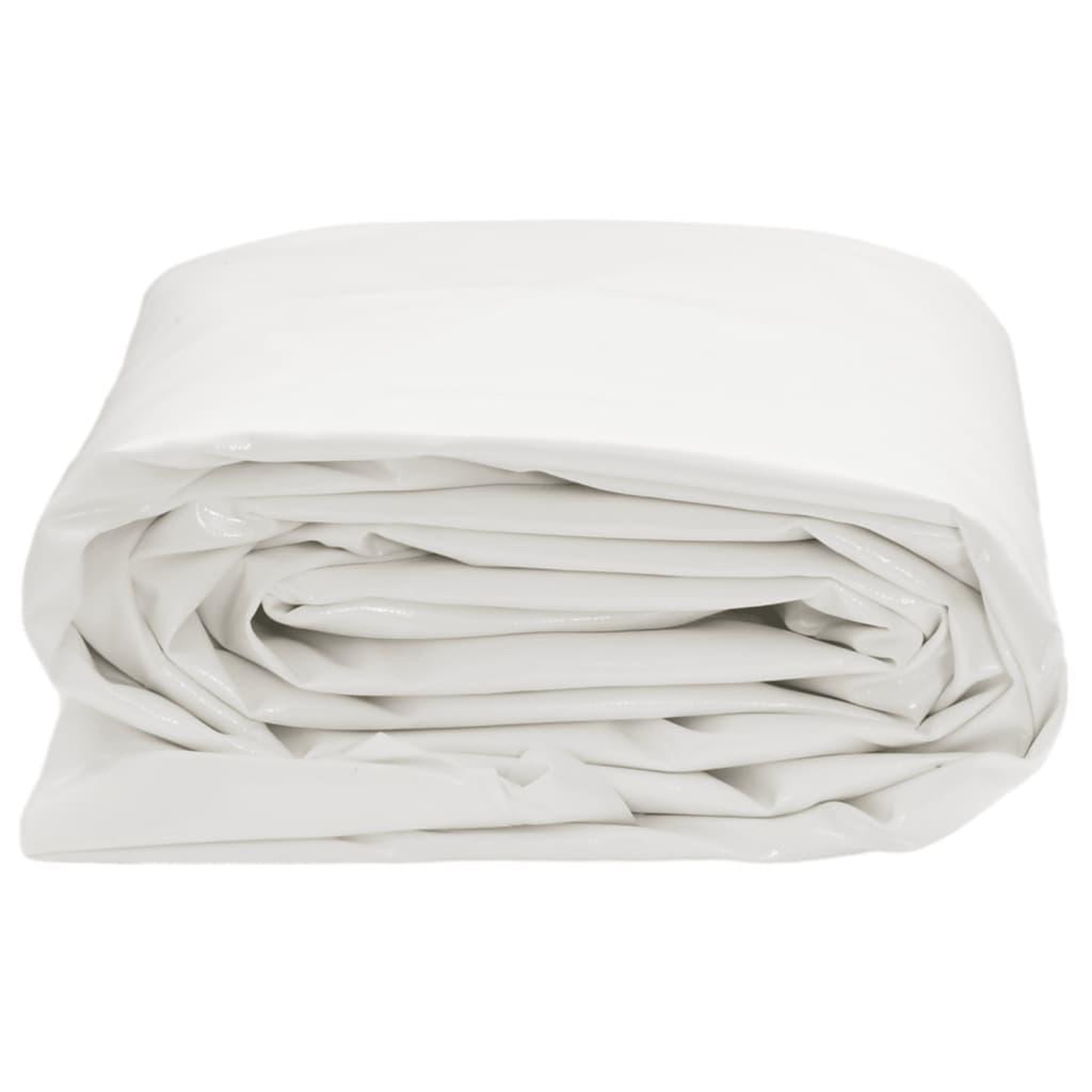 Voir la diapositive 3 : VIDAXL Bache blanc 4x5 m 650 g/m²