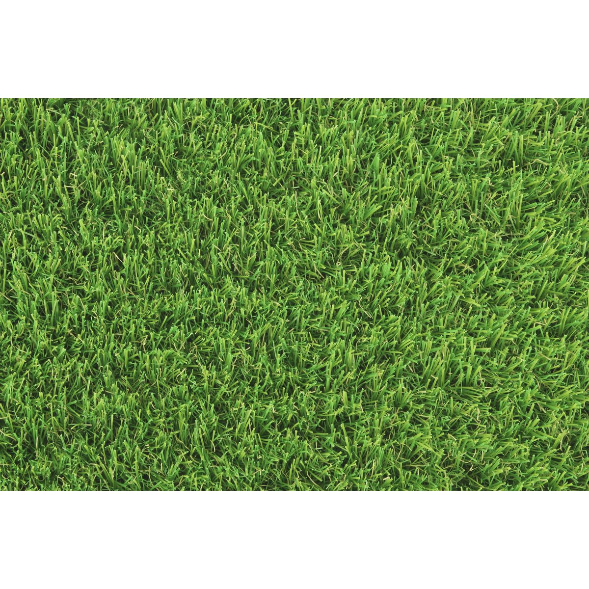 EXELGREEN Gazon synthétique Garden 1m x 3m épaisseur 30 mm 