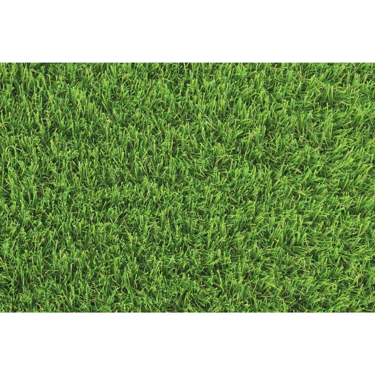 EXELGREEN Gazon synthétique Garden 1m x 3m épaisseur 30 mm 