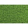 Voir la diapositive 2 : EXELGREEN Gazon synthétique Garden 1m x 3m épaisseur 30 mm 