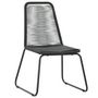 Voir la diapositive 2 : VIDAXL Chaises d'exterieur lot de 2 Resine tressee Noir