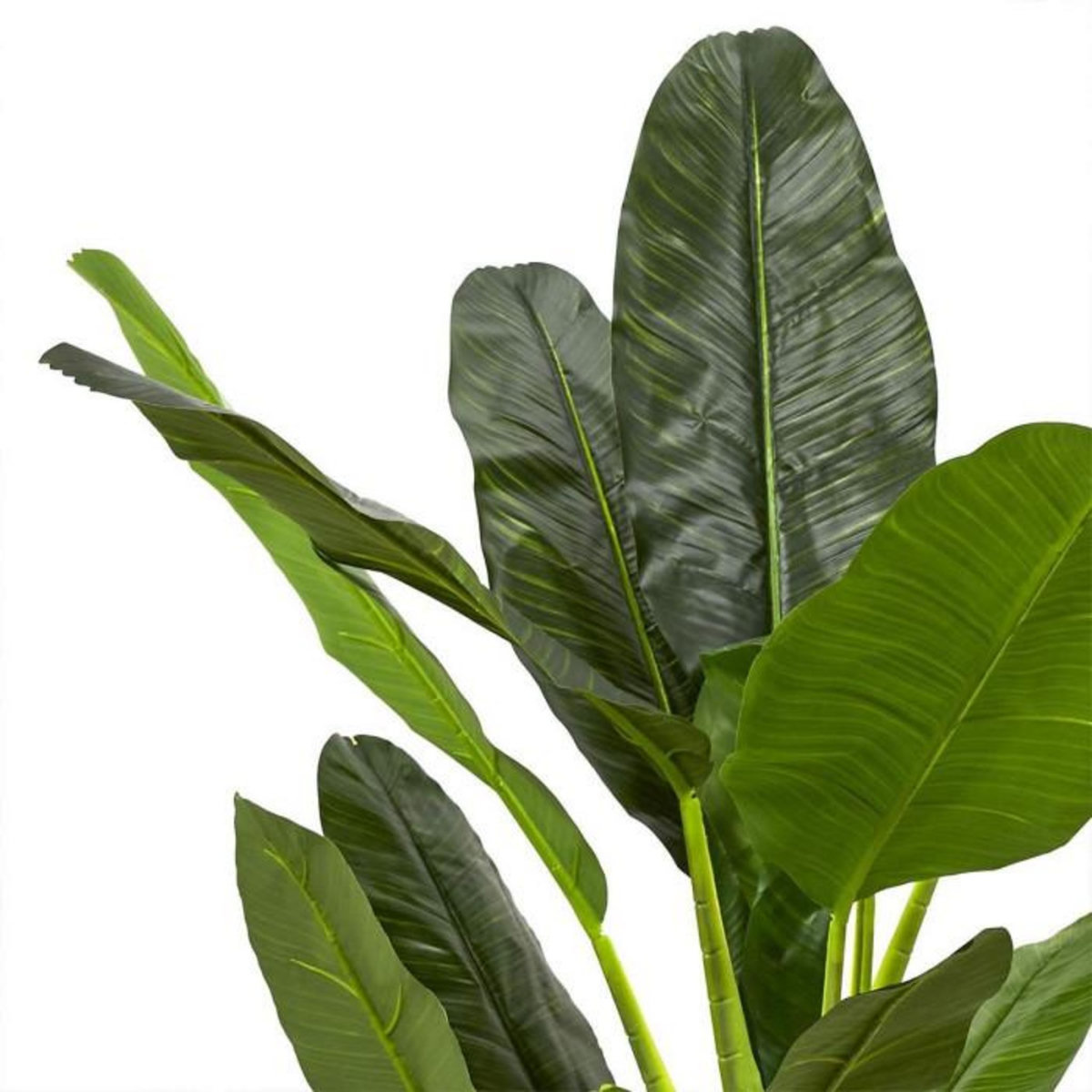 Paris Prix Plante Artificielle XXL  Bananier  160cm Vert