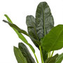 Voir la diapositive 3 : Paris Prix Plante Artificielle XXL  Bananier  160cm Vert