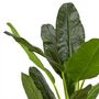 Voir la diapositive 3 : Paris Prix Plante Artificielle XXL  Bananier  160cm Vert