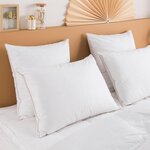 DUNLOPILLO Oreiller Premium Naturel Anti-Acariens Ferme - 30% duvet. Coloris disponibles : Blanc