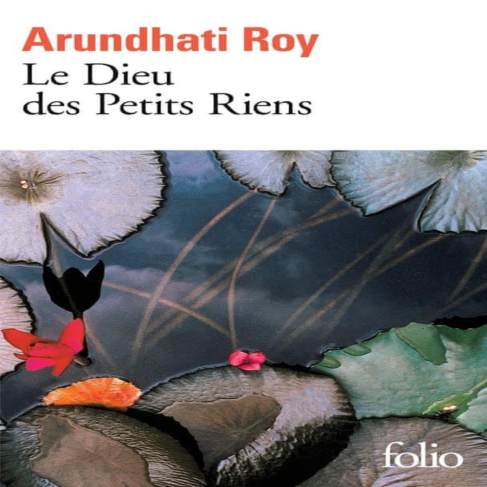 LE DIEU DES PETITS RIENS, Roy Arundhati