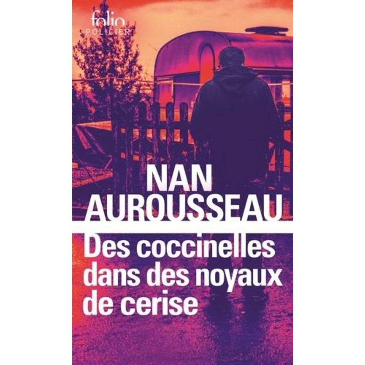 DES COCCINELLES DANS DES NOYAUX DE CERISE, Aurousseau Nan