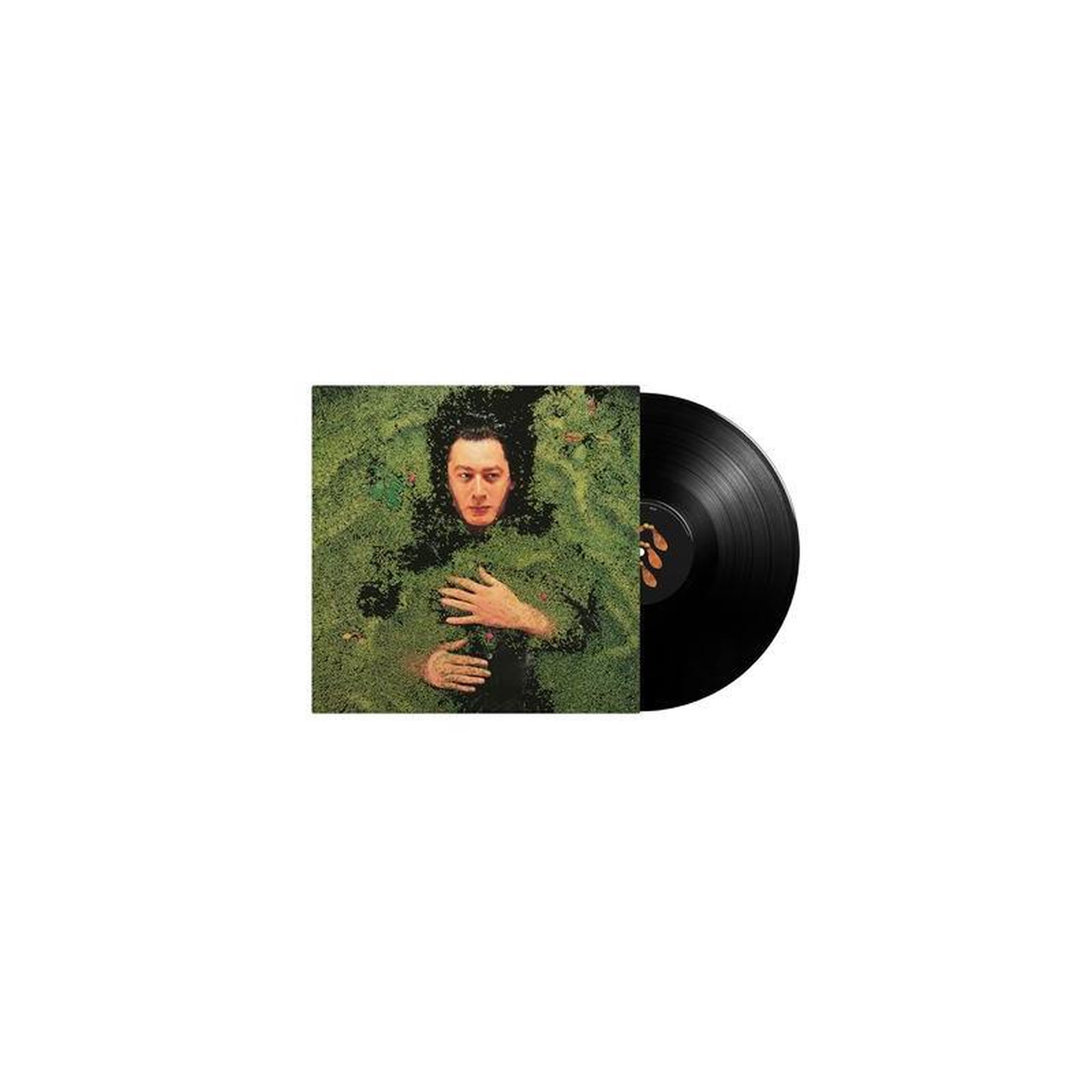 Vinyle 33t alain bashung fantaisie militaire, rock francophone noir 12 titres, 1 lp