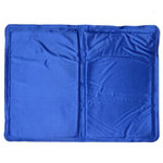 Paris Prix Oreiller Rafraîchissant  Instantané  30x50cm Bleu