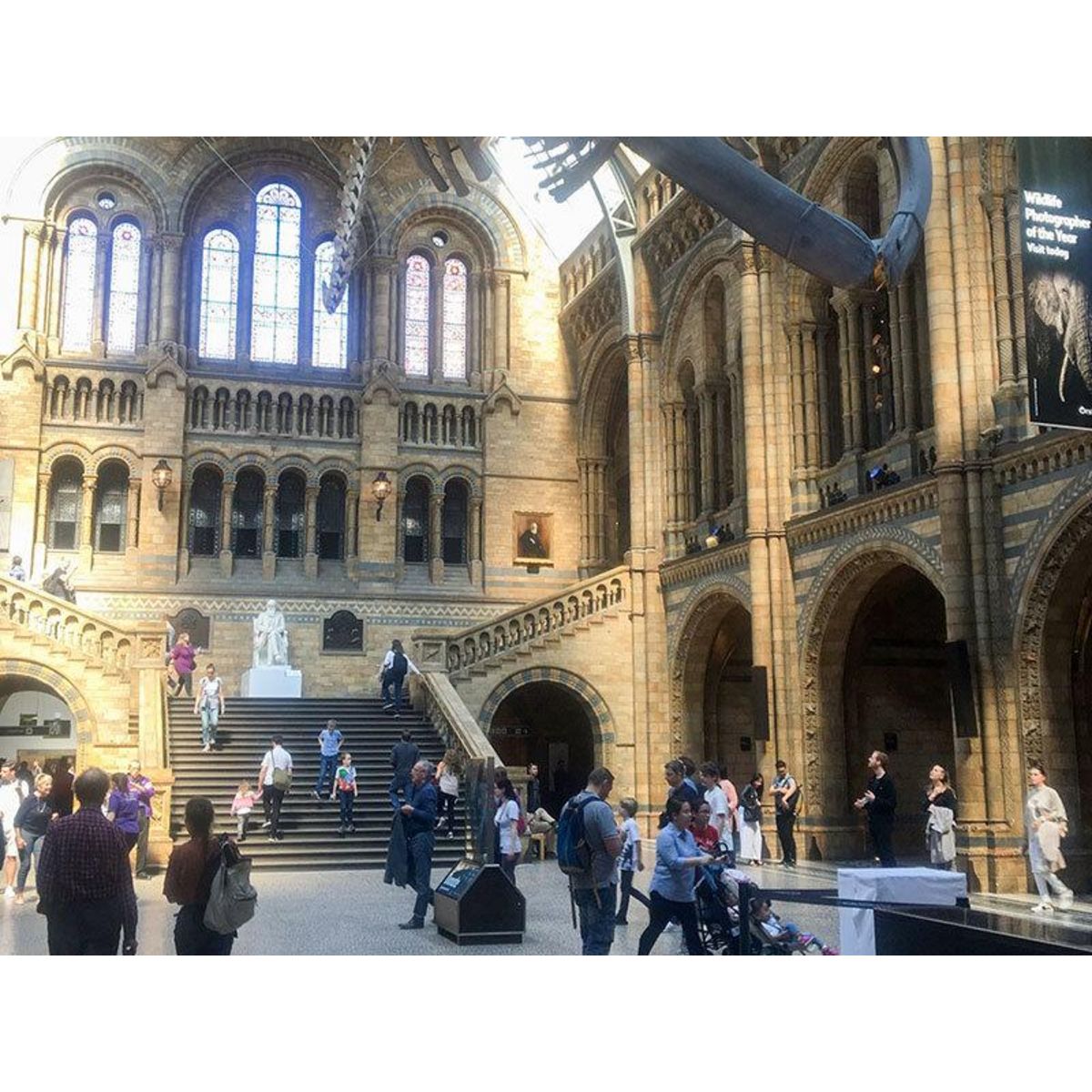 Smartbox Visite guidée du musée d'histoire naturelle de Londres en duo - Coffret Cadeau Sport & Aventure