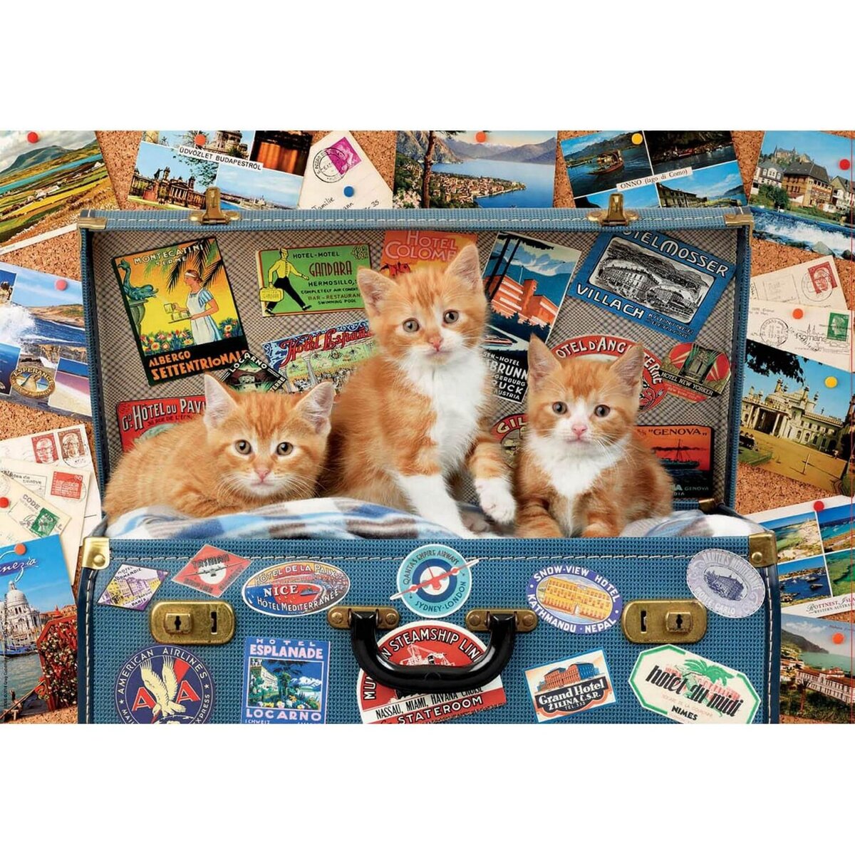 Puzzle 1000 pièces : Famille de chats - Anatolian - Rue des Puzzles