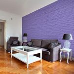 Paris Prix Papier Peint  Inspiration de Bruyère. Coloris disponibles : Multicolore