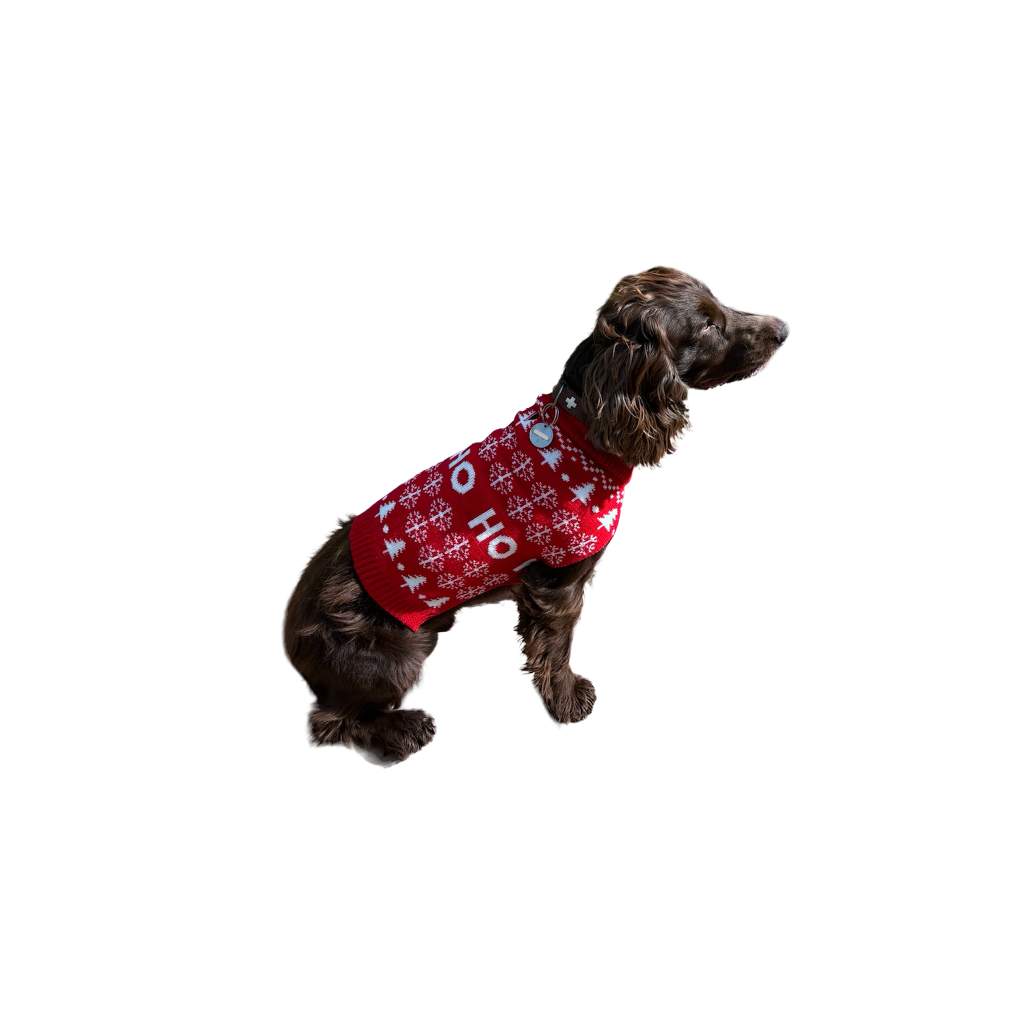 Voir la diapositive 5 : MON AMI LUKI Pull noel brode renne-pour chien- deguisement tricote - festif
