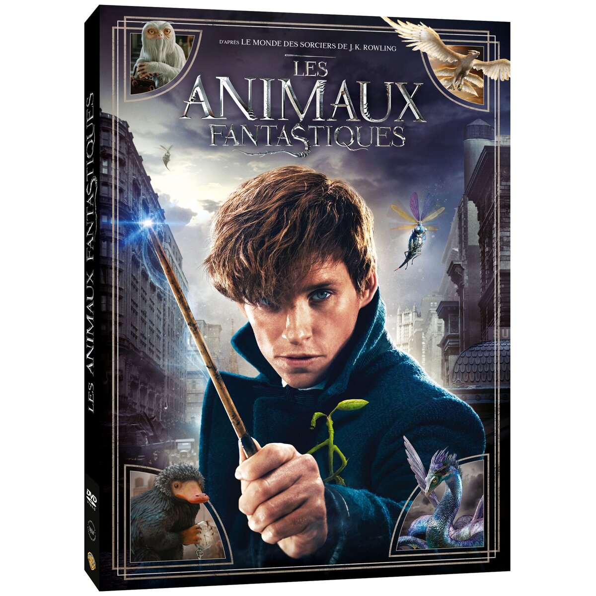  Les Animaux fantastiques - DVD