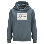 Jack & Jones Sweat  Garçon Jack & Jones Jorfrederik. Coloris disponibles : Bleu