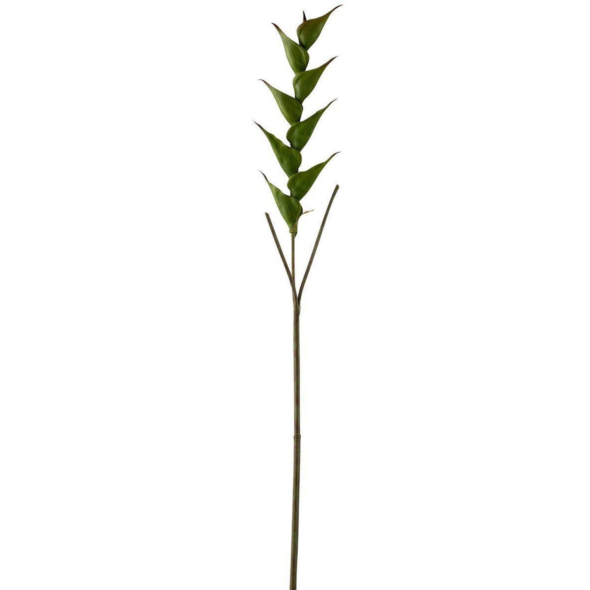 J-LINE Fleur artificielle  heliconia  141cm vert