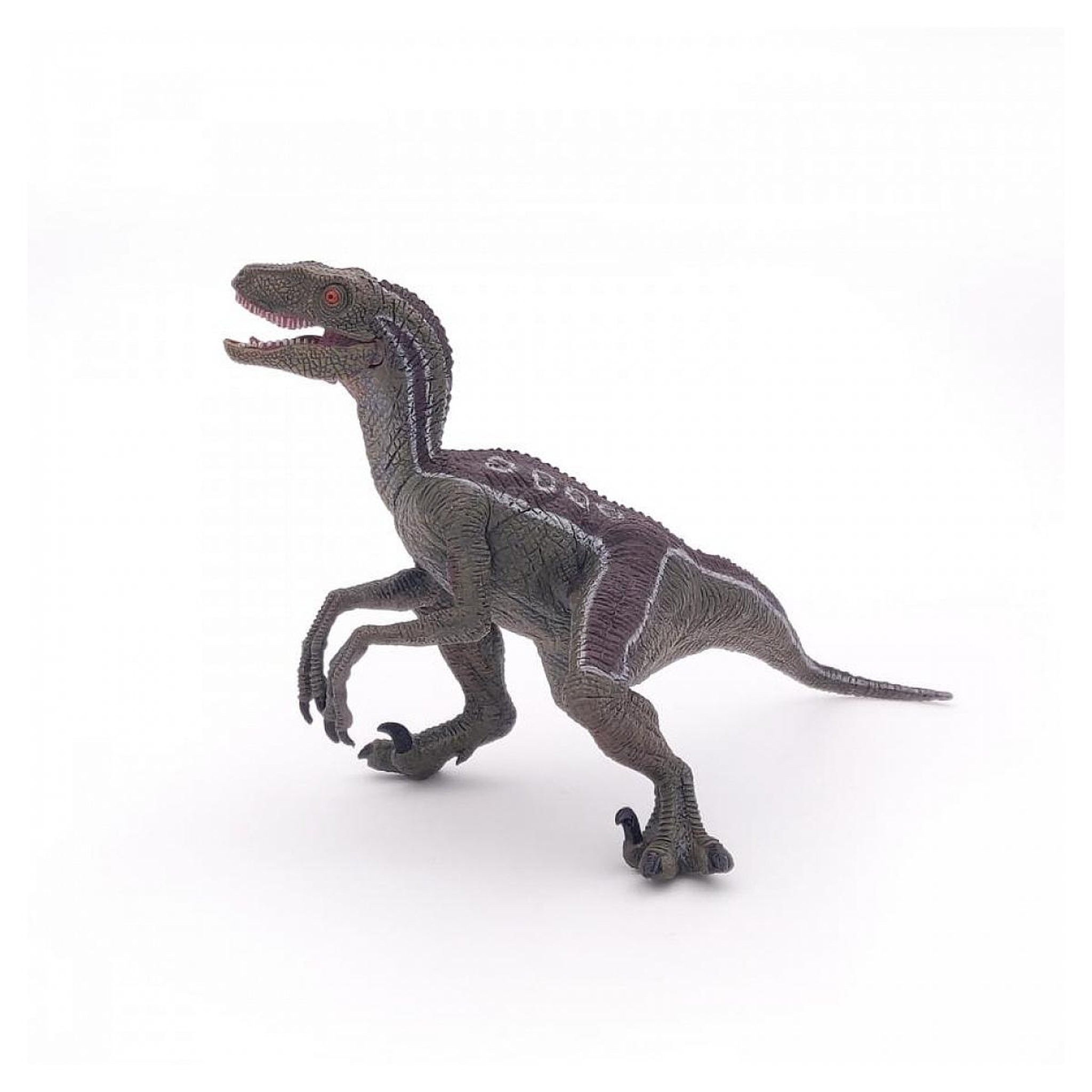 Voir la diapositive 4 : Papo 55023 Vélociraptor dinosaure