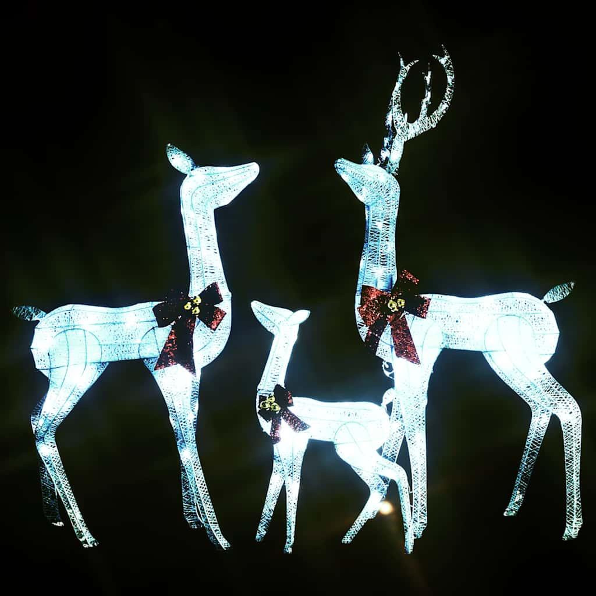 Voir la diapositive 4 : VIDAXL Decoration de noël famille de rennes blanc et argente 201 led