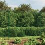 Voir la diapositive 1 : VIDAXL Cloture en treillis metallique avec bride vert 2x25 m