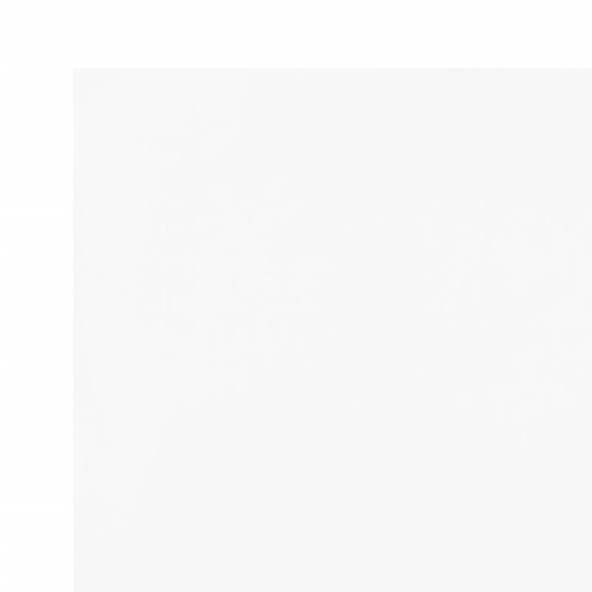 VIDAXL Bache blanc 1,5x2 m 600 g/m²