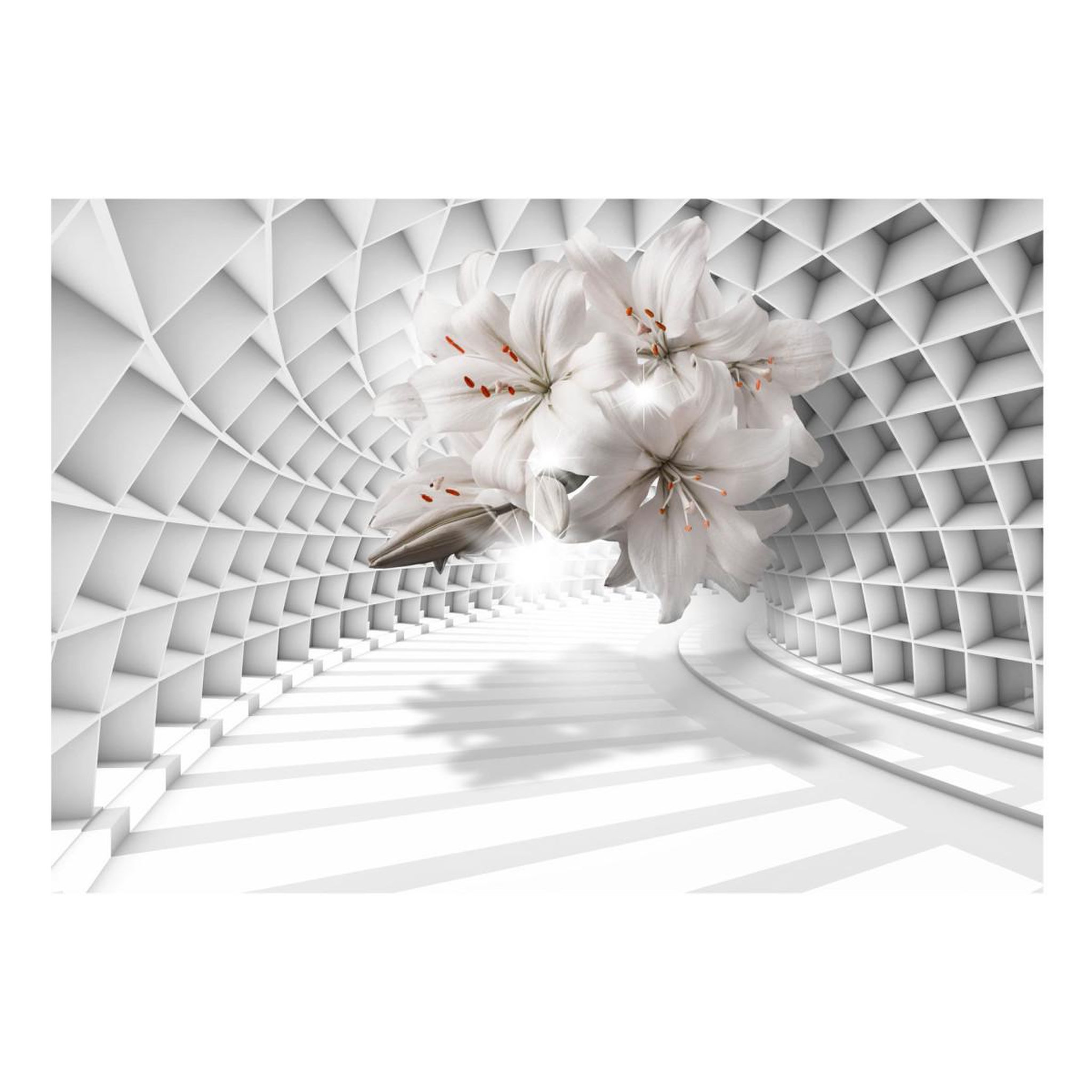 Voir la diapositive 2 : Paris Prix Papier peint  flowers in the tunnel
