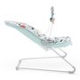 Voir la diapositive 2 : Fisher price Transat bébé Terrazzo 