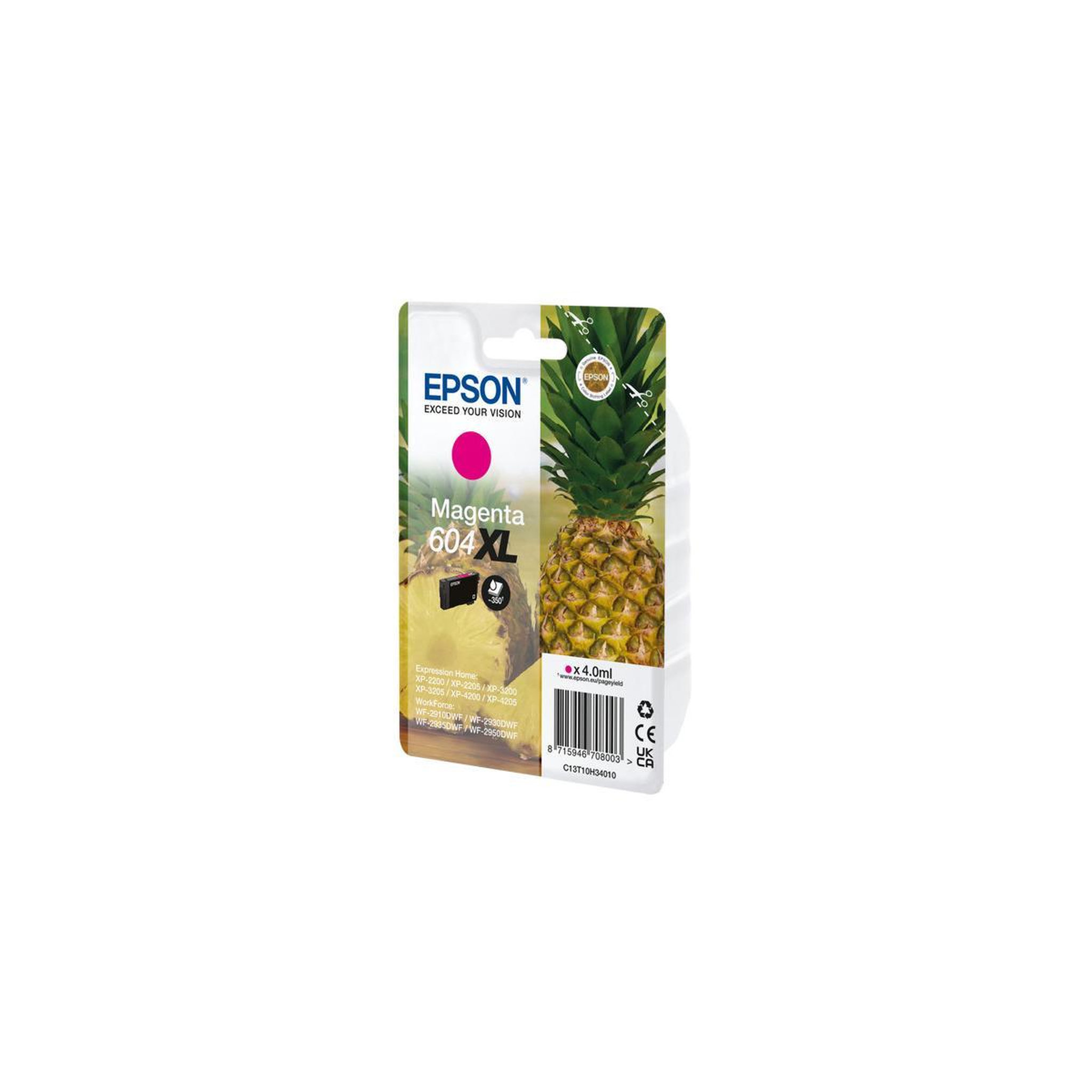 Voir la diapositive 3 : Epson Consommable EPSON C13T10H34010