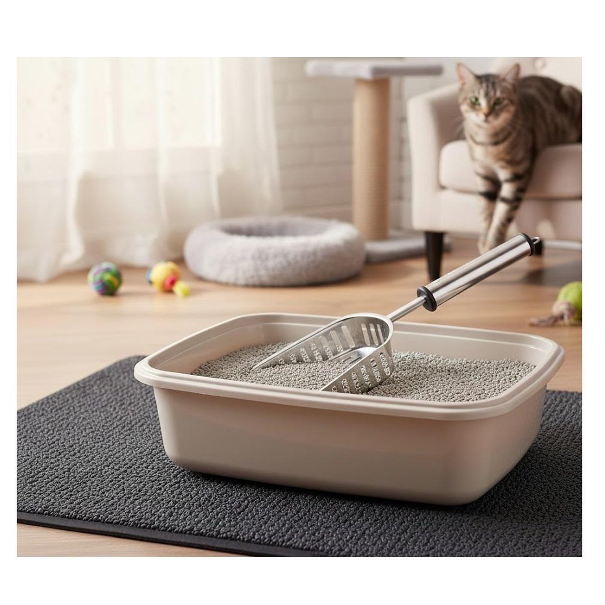 Voir la diapositive 3 : Eden Pelle a litiere pour chat en acier inoxydable ian