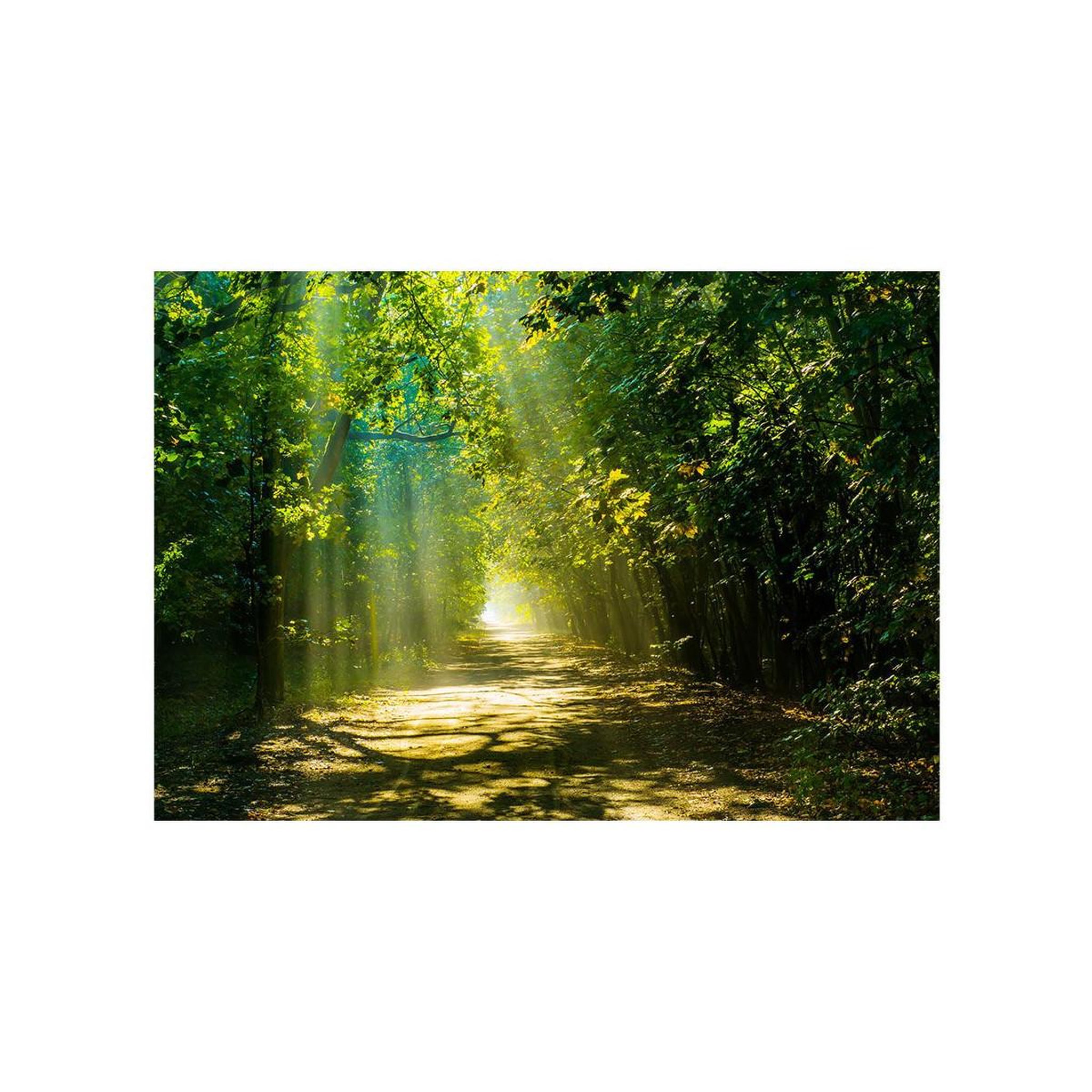 Voir la diapositive 2 : Paris Prix Papier peint  road in sunlight
