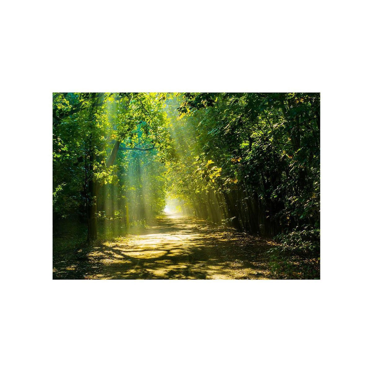 Paris Prix Papier Peint  Road in Sunlight