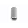 CENTRALE BRICO Petit plafonnier cylindrique SENSA mini - Aluminium - Blanc - 11,5 cm - IP 20