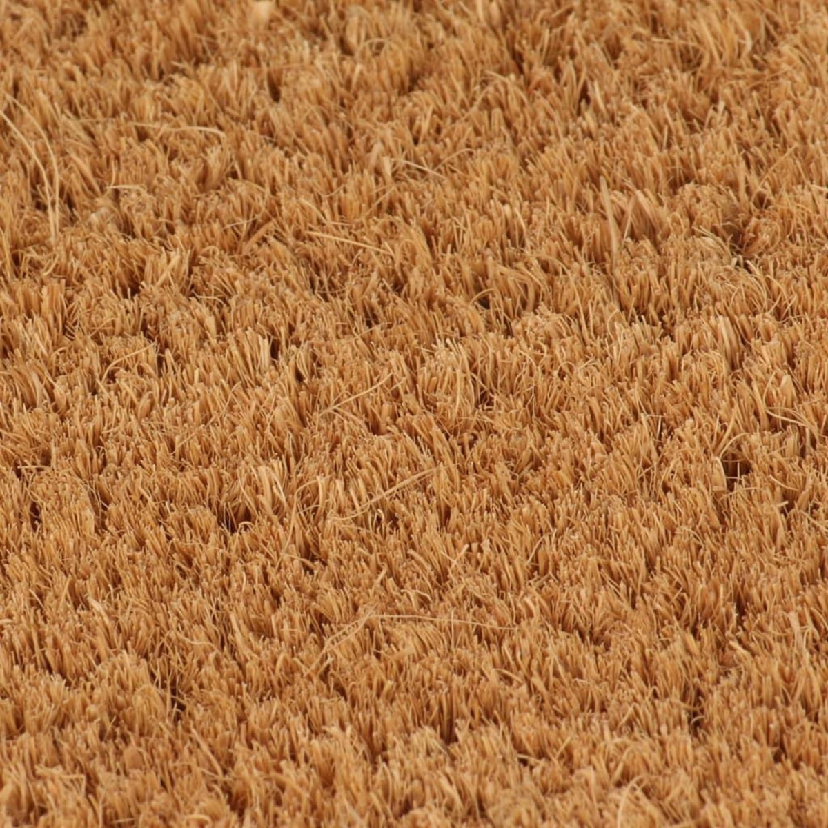 VIDAXL Tapis de porte naturel 65x100 cm fibre de coco touffete