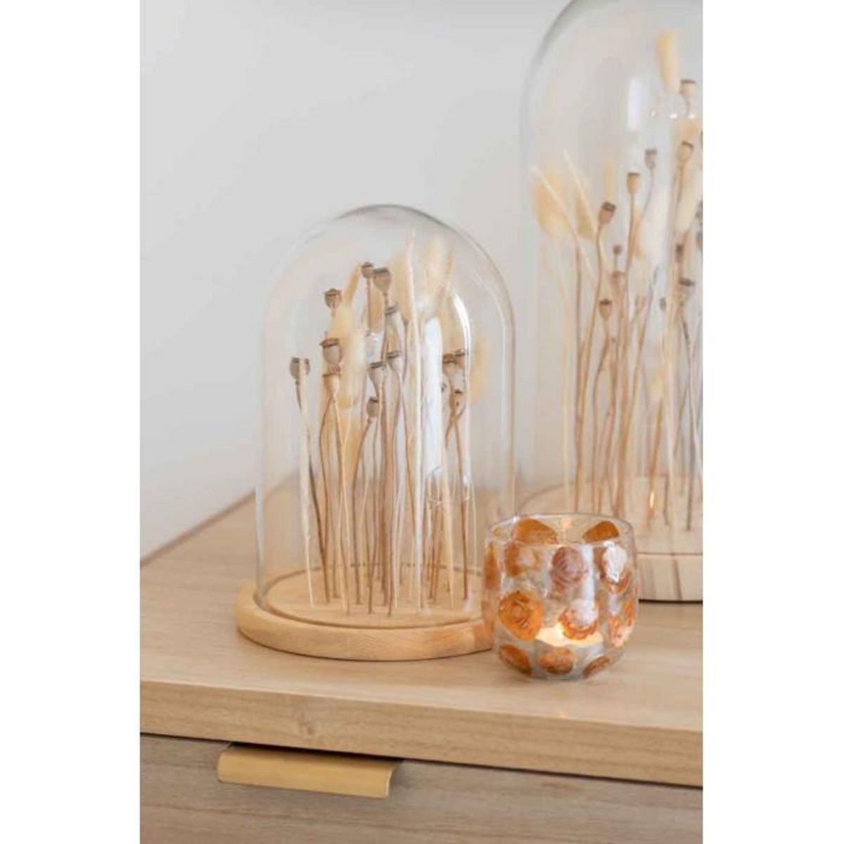 Paris Prix Cloche en Verre Déco  Fleurs Séchées  26cm Écru